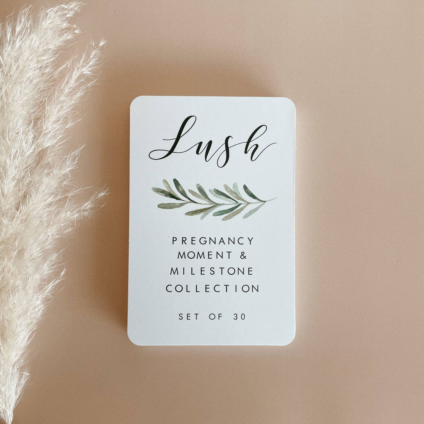 Pregnancy Milestone Cards