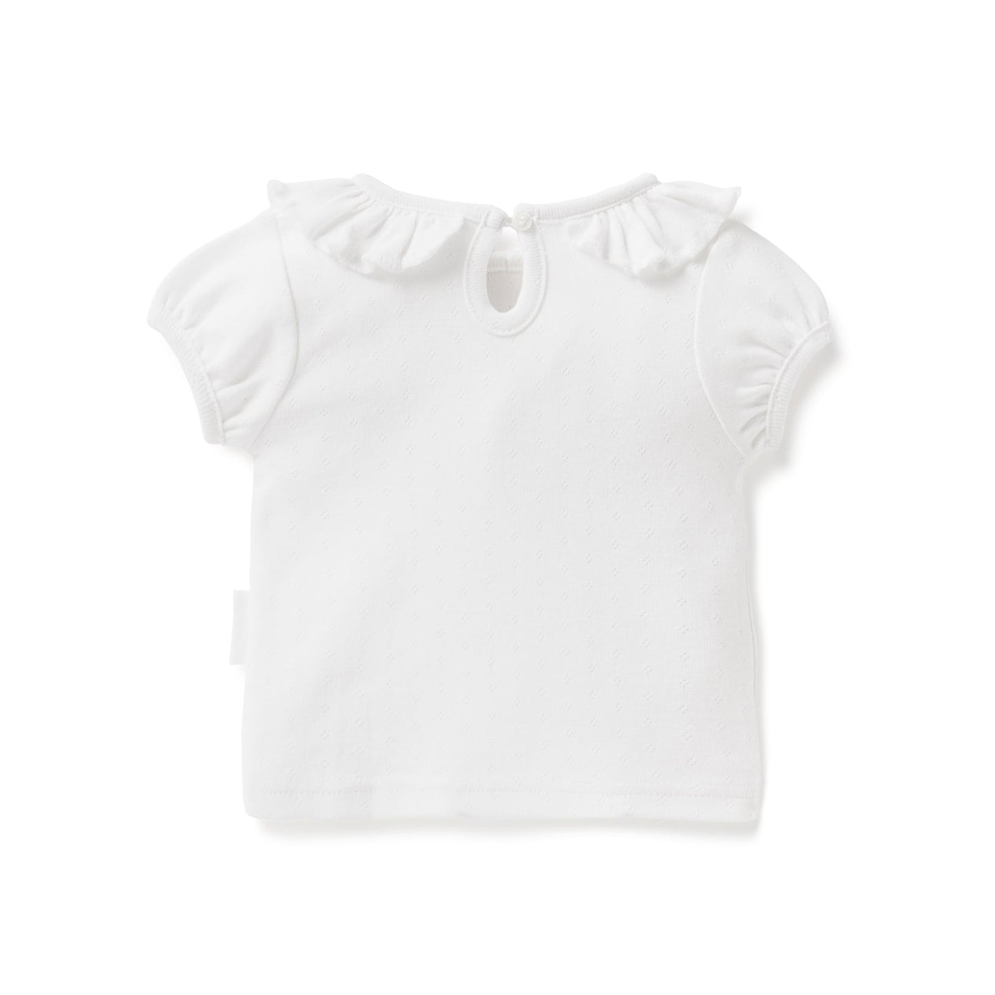 White Pointelle Ruffle Top