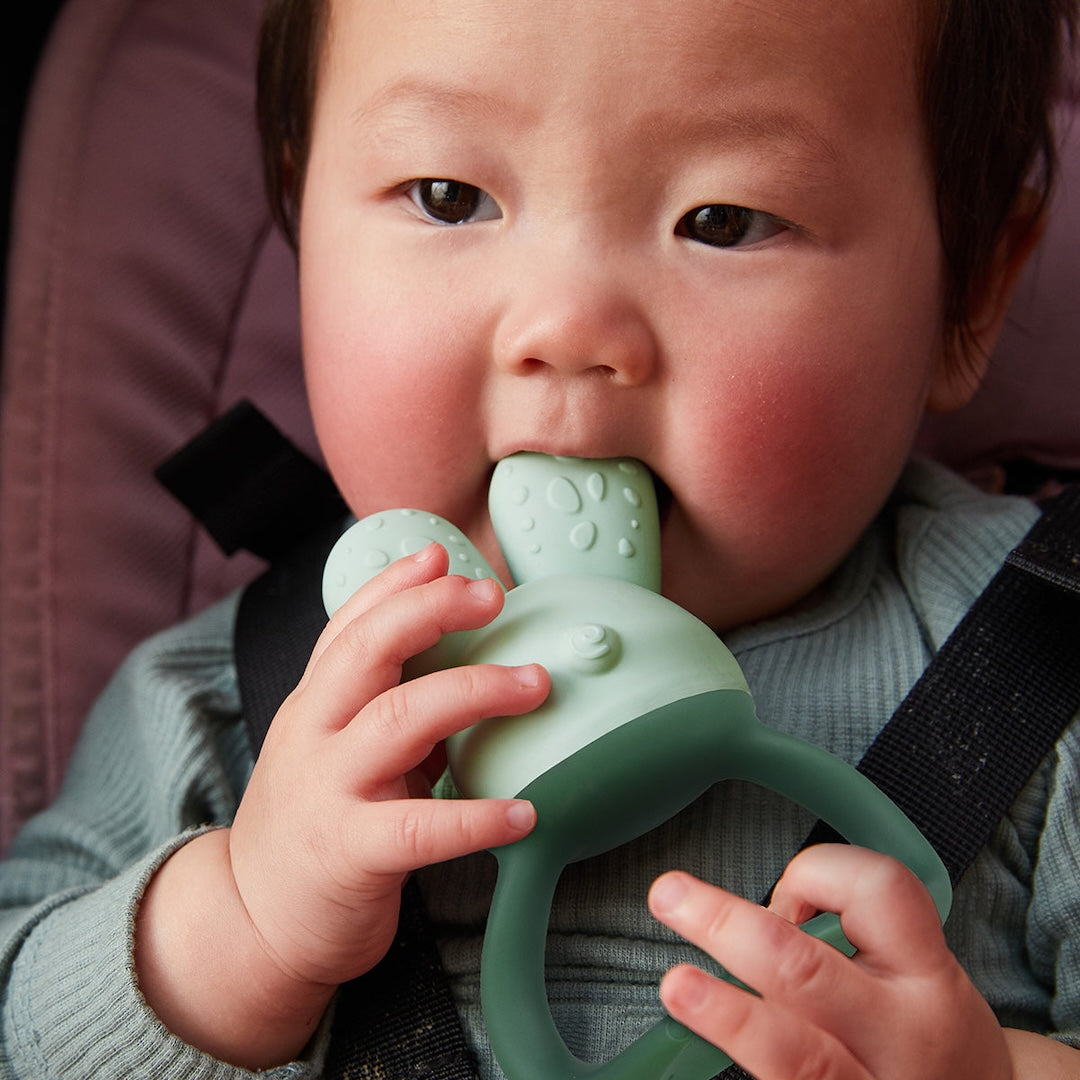 b.box Fill + Chill Teether