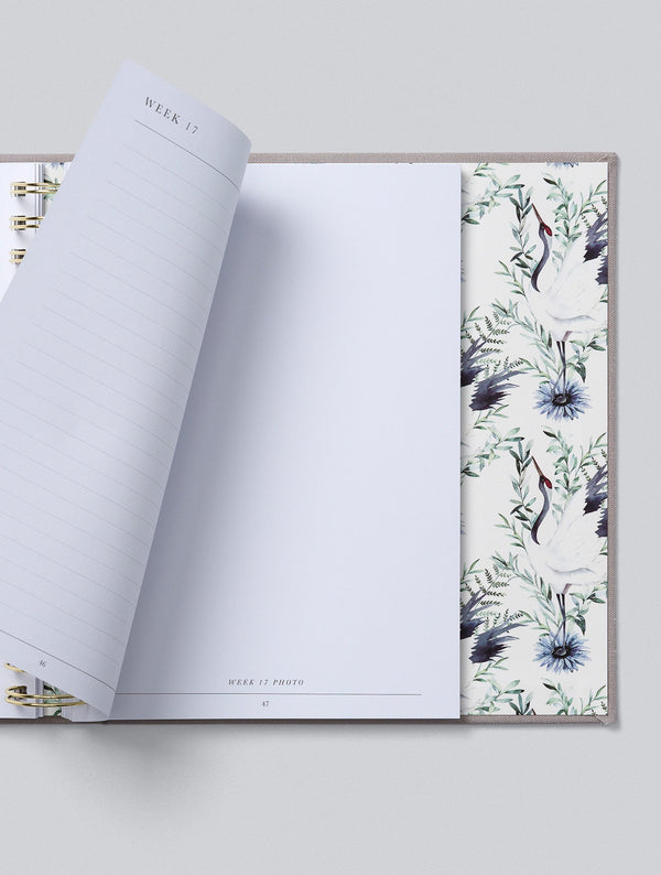 Bump. My Pregnancy Journal. Boxed