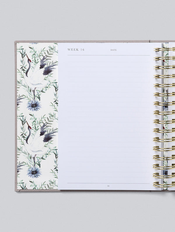 Bump. My Pregnancy Journal. Boxed