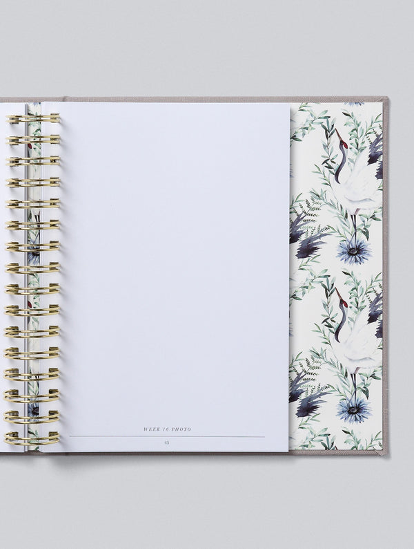 Bump. My Pregnancy Journal. Boxed