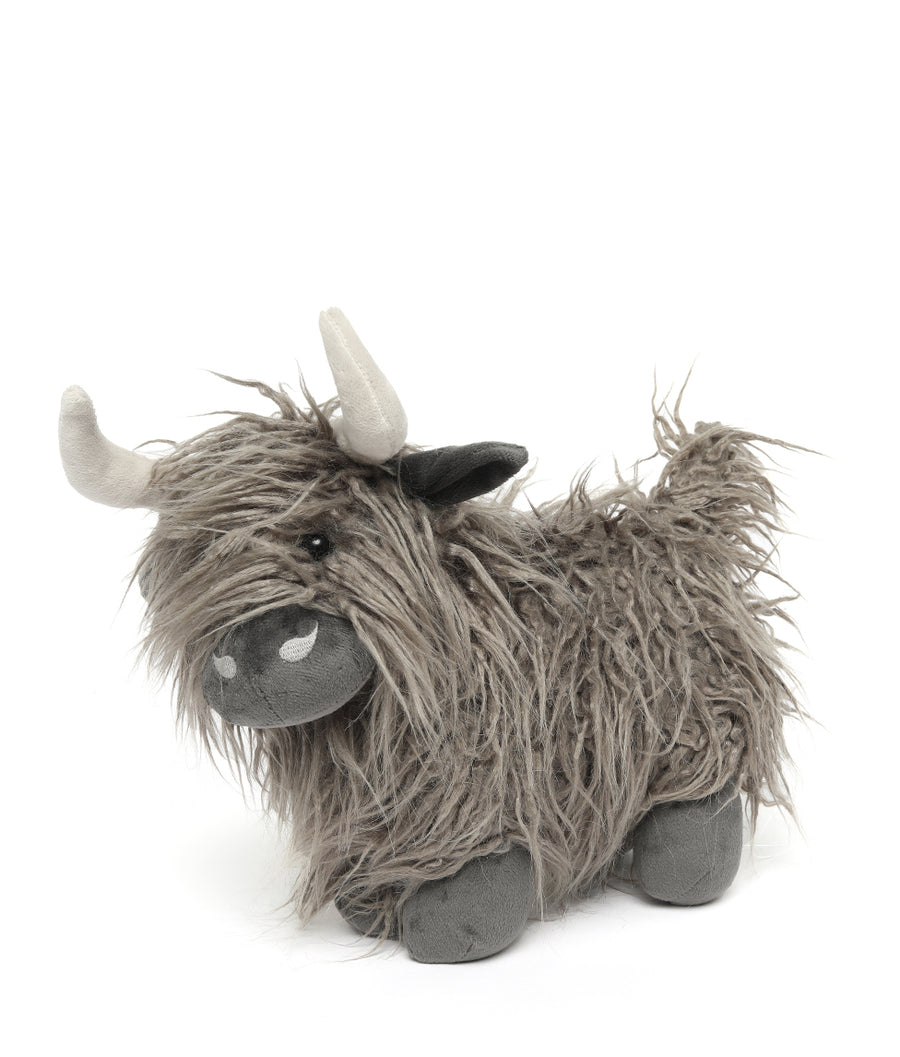 Heidi the Highland Cow