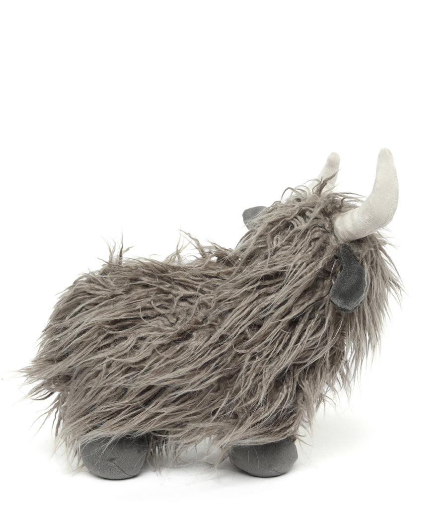 Heidi the Highland Cow