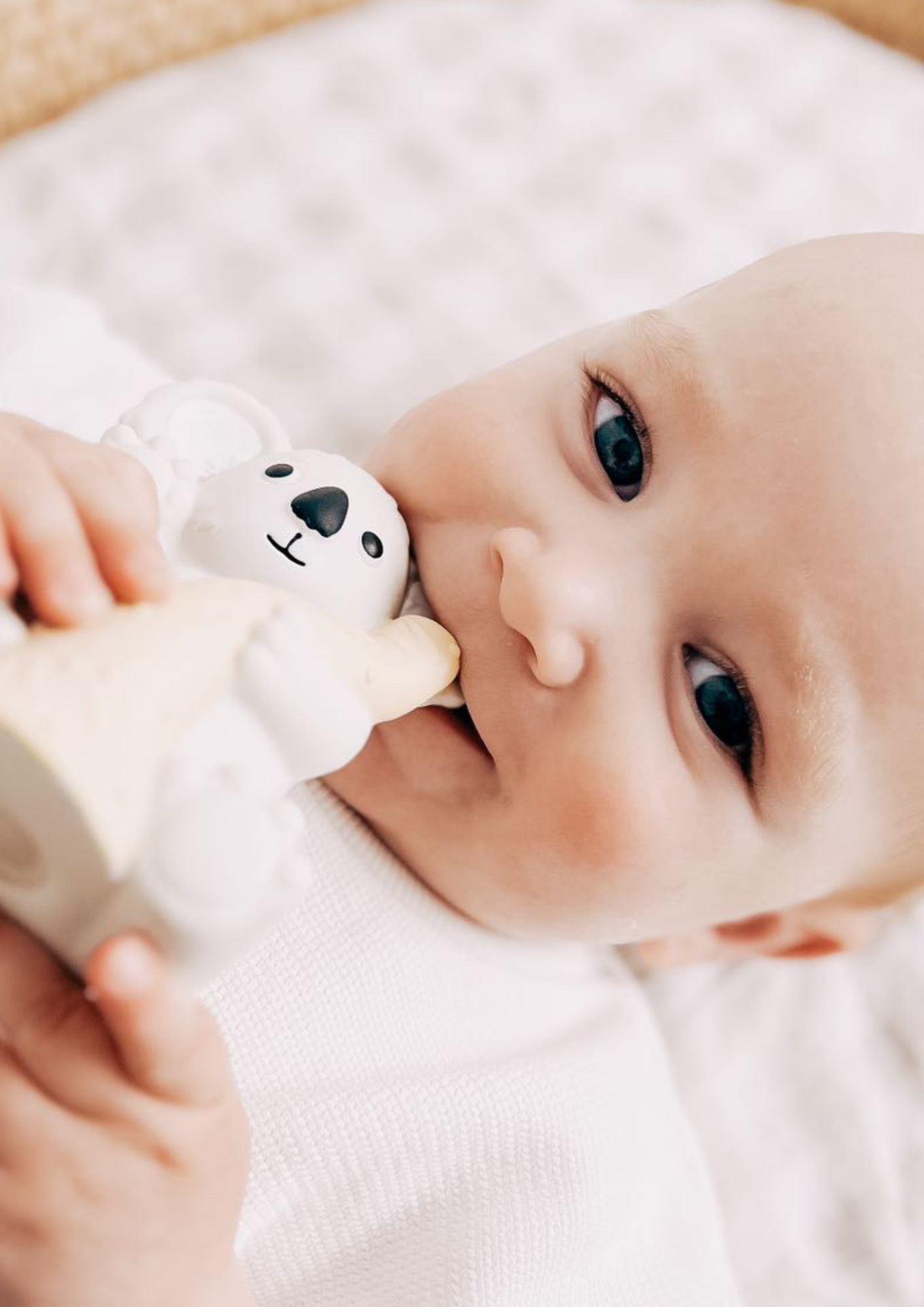 Banks The Koala Natural Rubber Toy