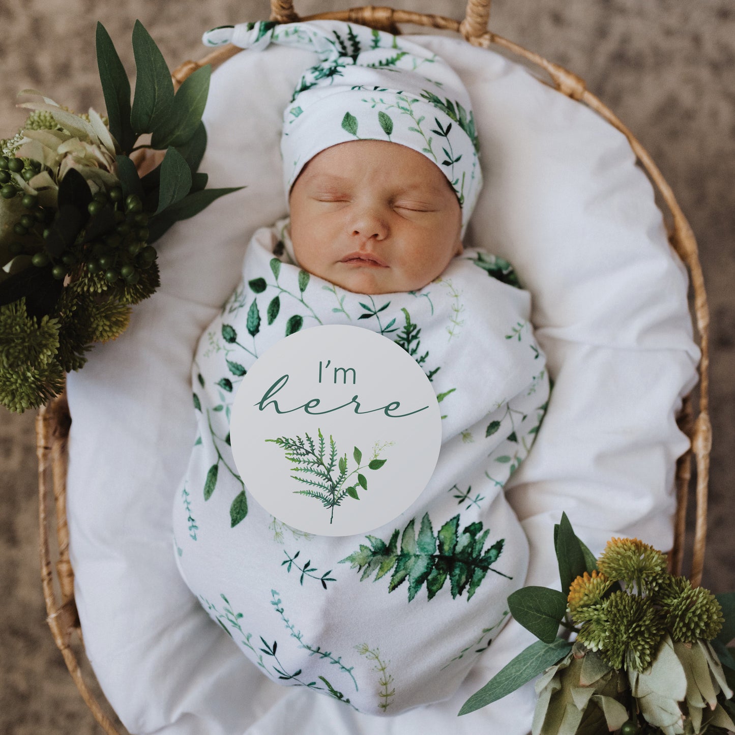 Milestone Cards Enchanted and Olive