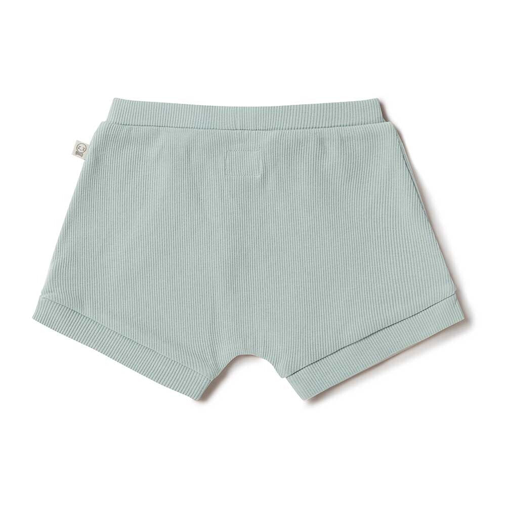 Snuggle Hunny Shorts Sage