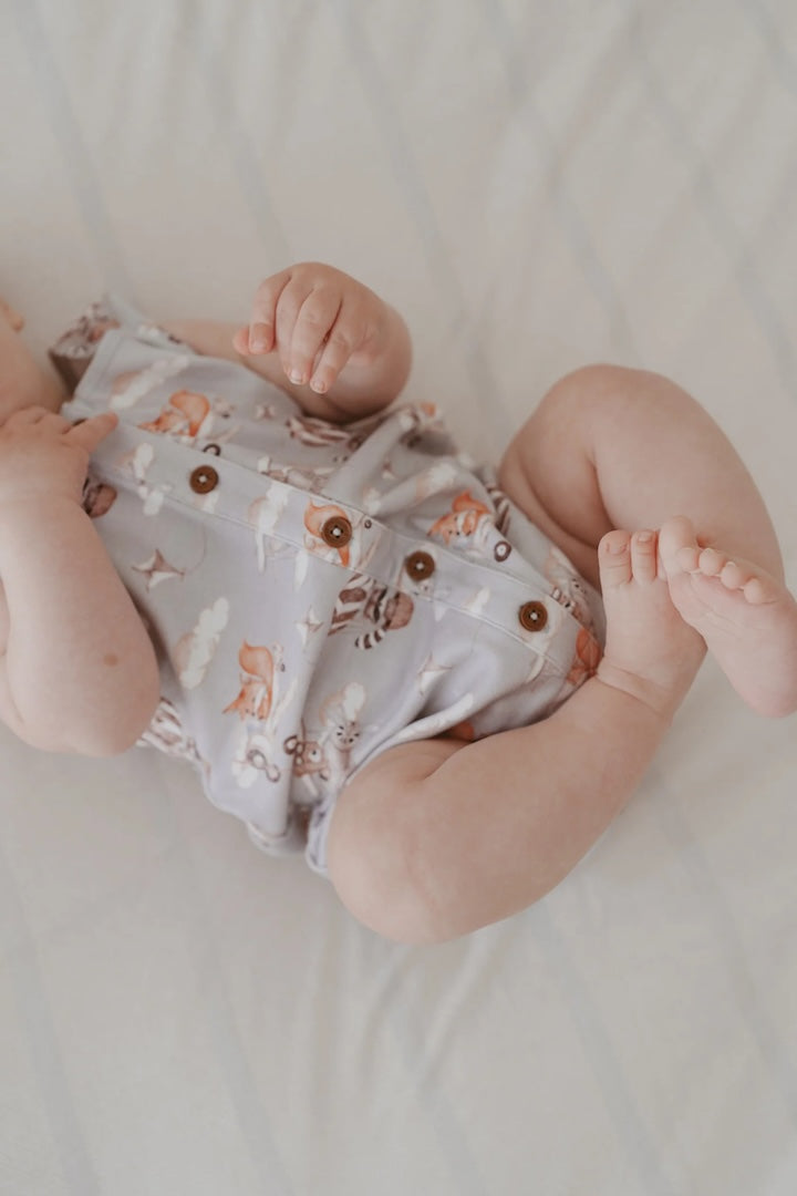 Flying Friends Bubble Romper