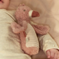 Safari Friends Squeaker Rattle Flamingo