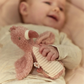 Safari Friends Squeaker Rattle Flamingo