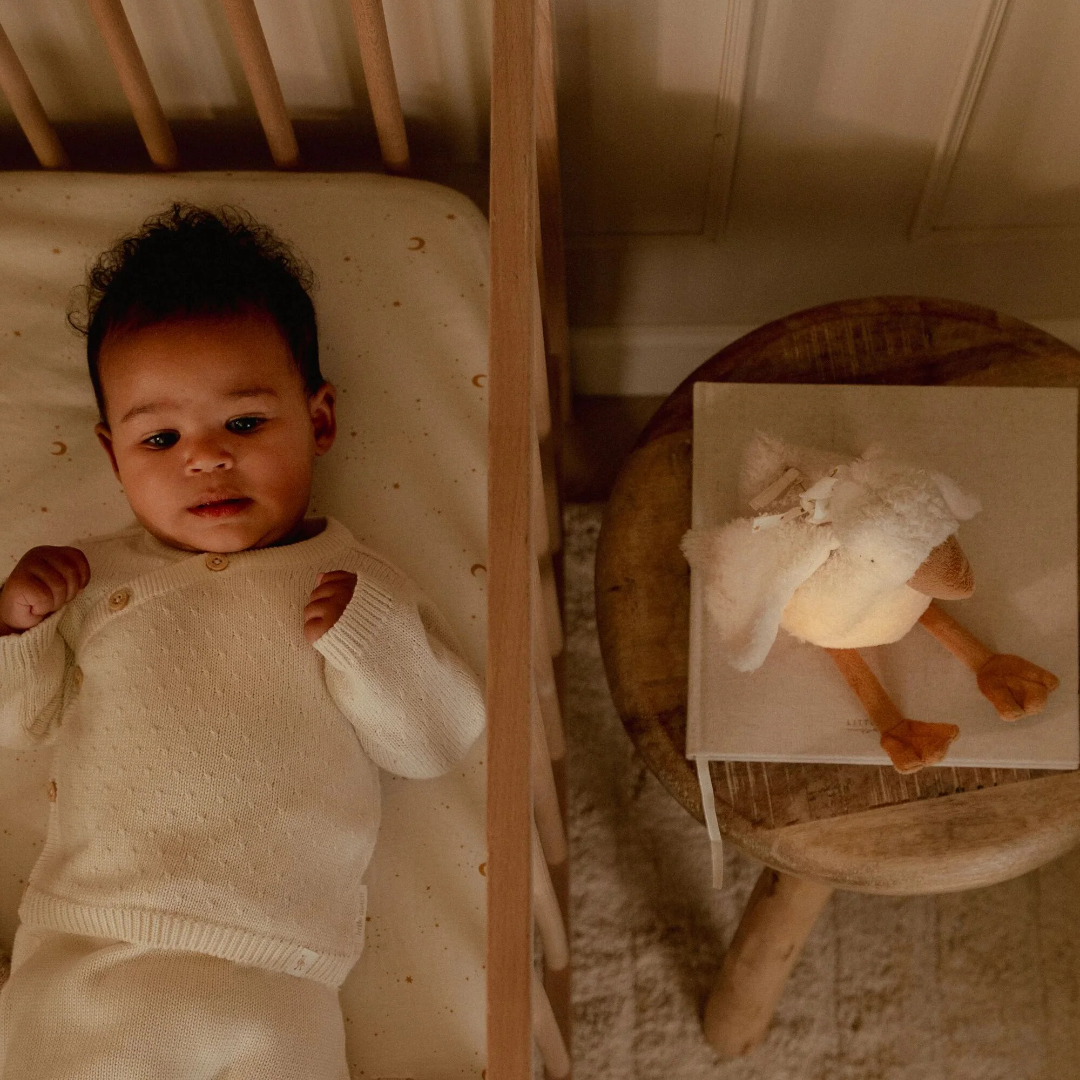 Little Dutch Newborn Naturals Cuddle Goose Light & Sound