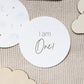 Sweet Baby Milestone Cards by Little Love Chapters