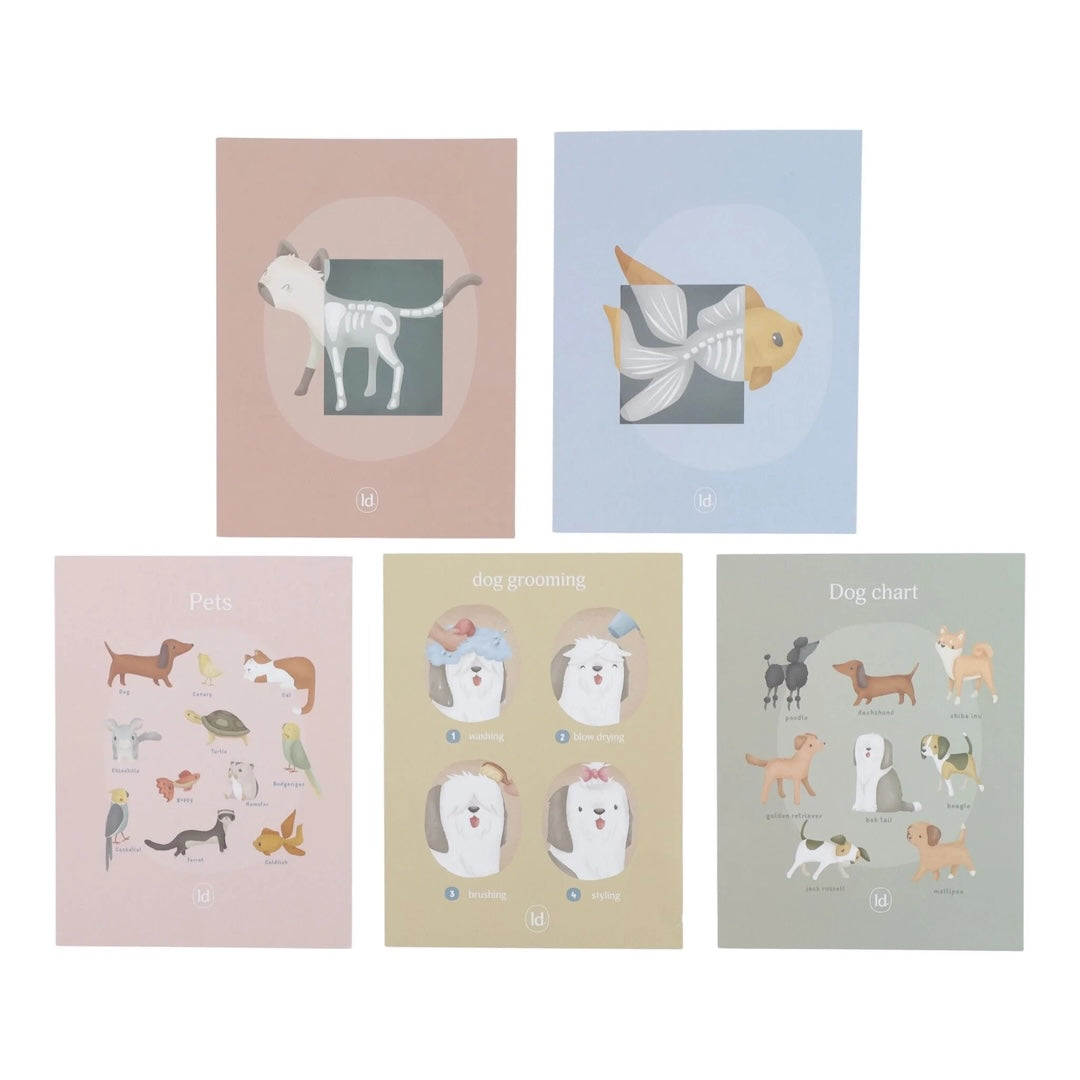 Little Dutch Vet Set