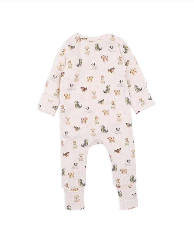 Otto Organic Long Sleeve Zipsuit Premature