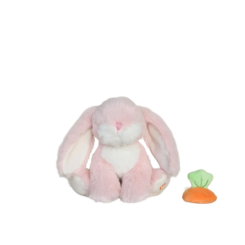 Binky Bunny Dot with magnetic carrot pacifier