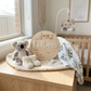 Hello World Australian Animals Baby Announcement Wooden Plaque