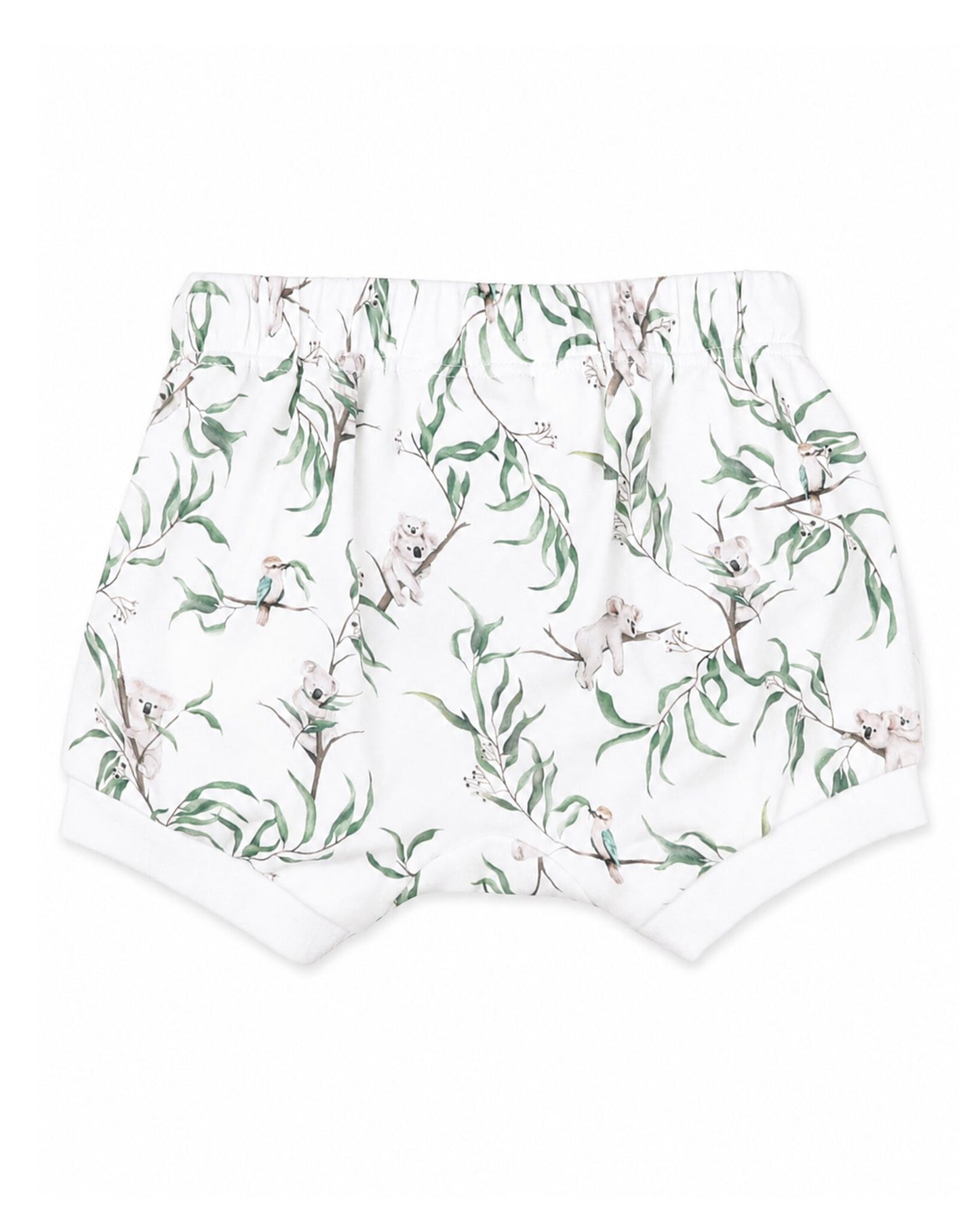 Organic Shorts Taylor Print - back