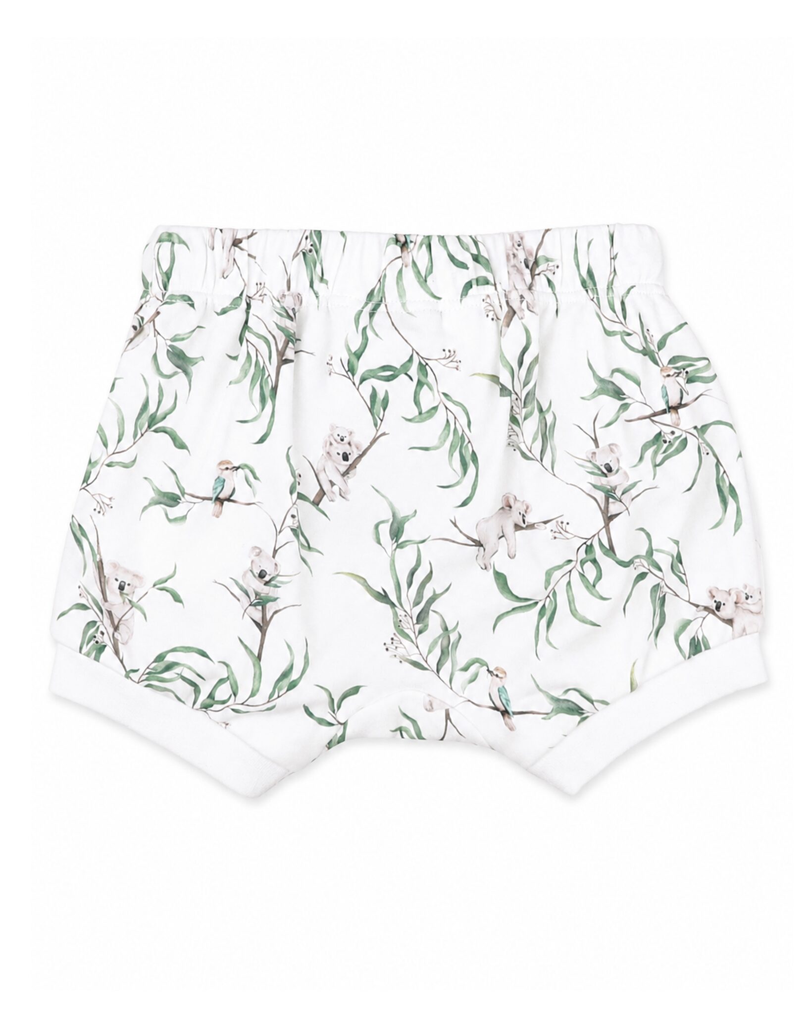 Organic Shorts Taylor Print - back
