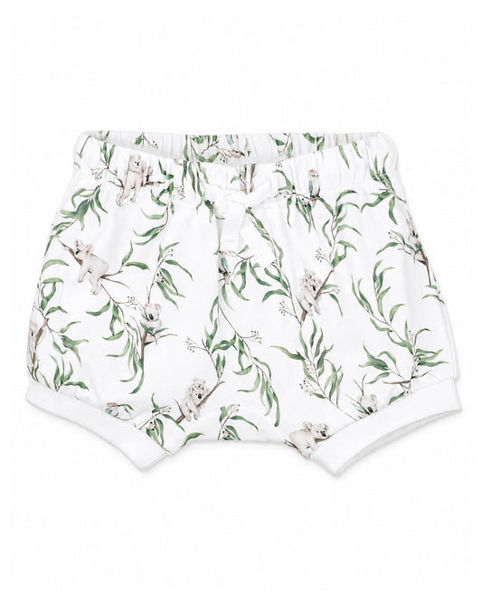 Organic Shorts Taylor Print - front