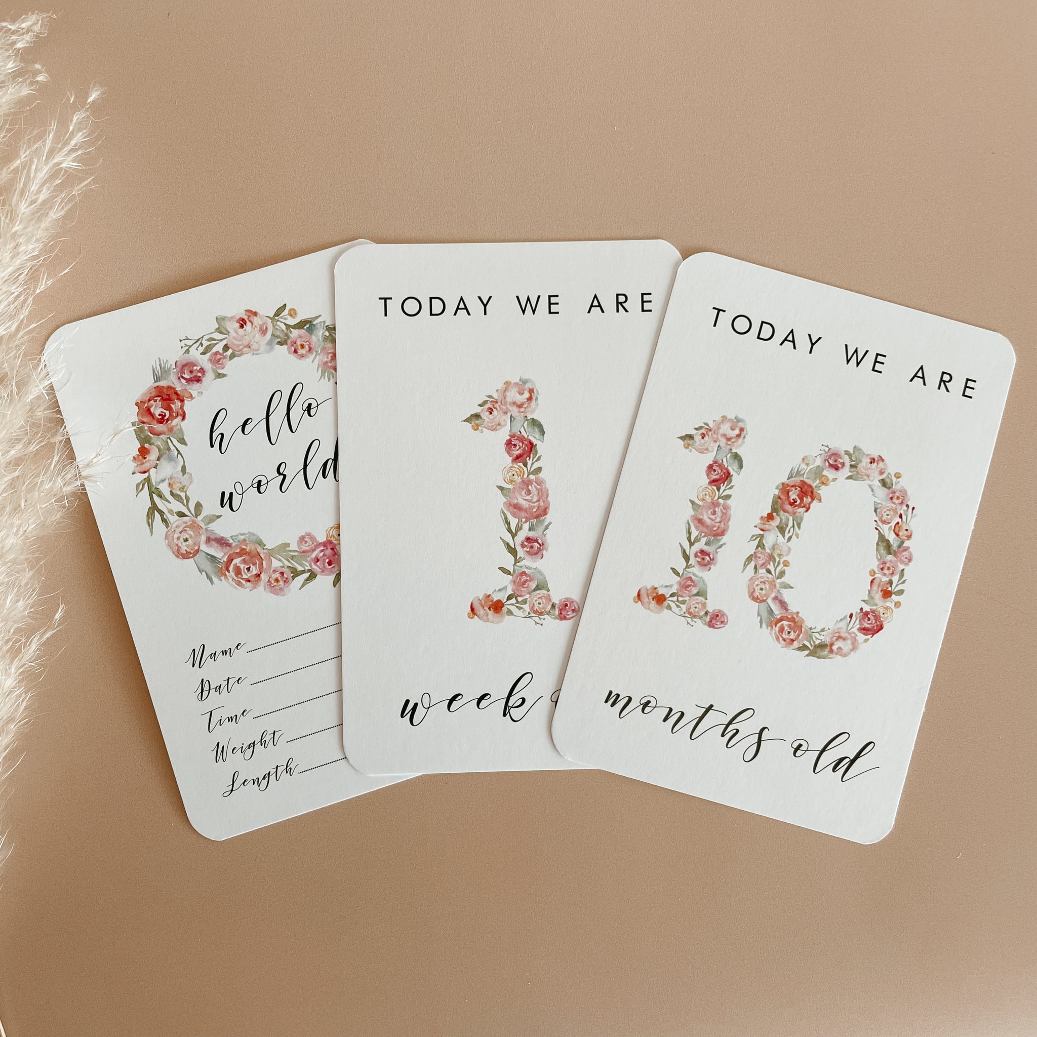 Twin baby hot sale milestone cards