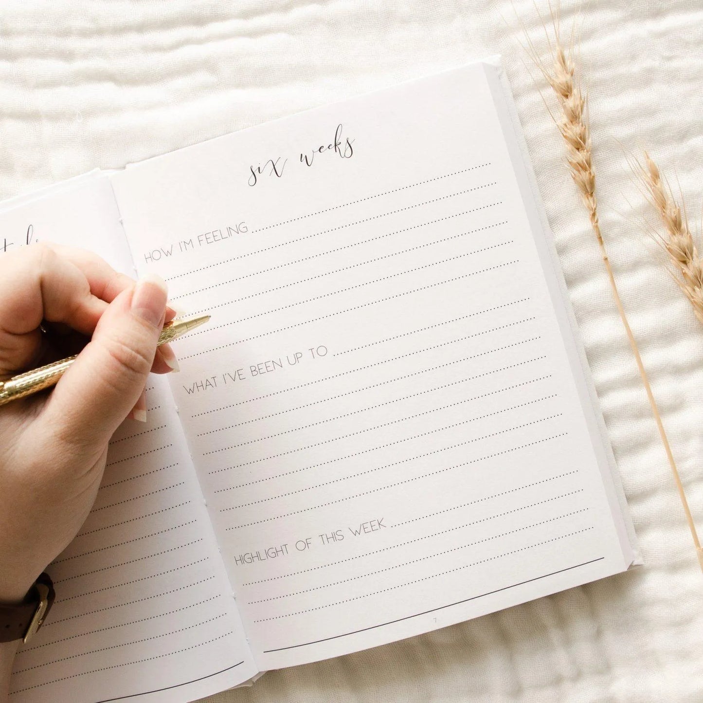 Hello Little Mama Pregnancy Journal