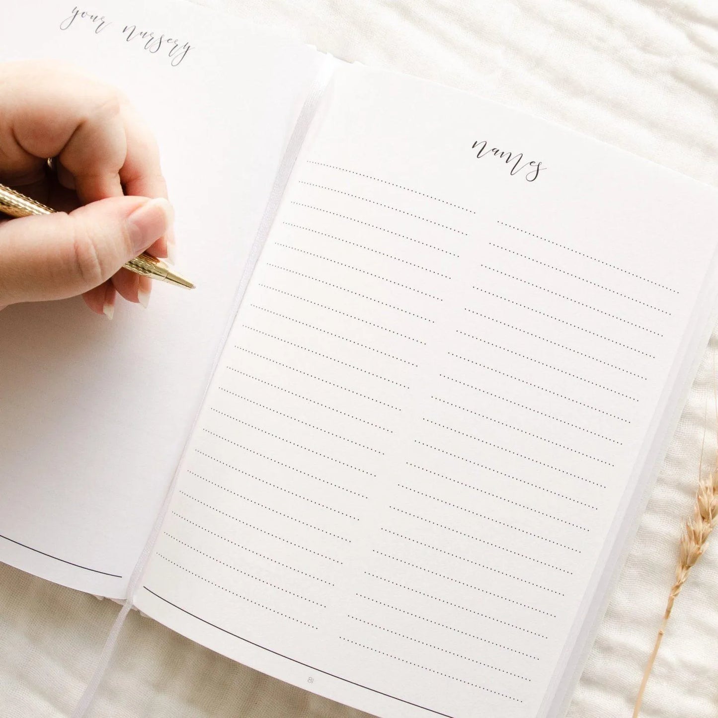 Hello Little Mama Pregnancy Journal