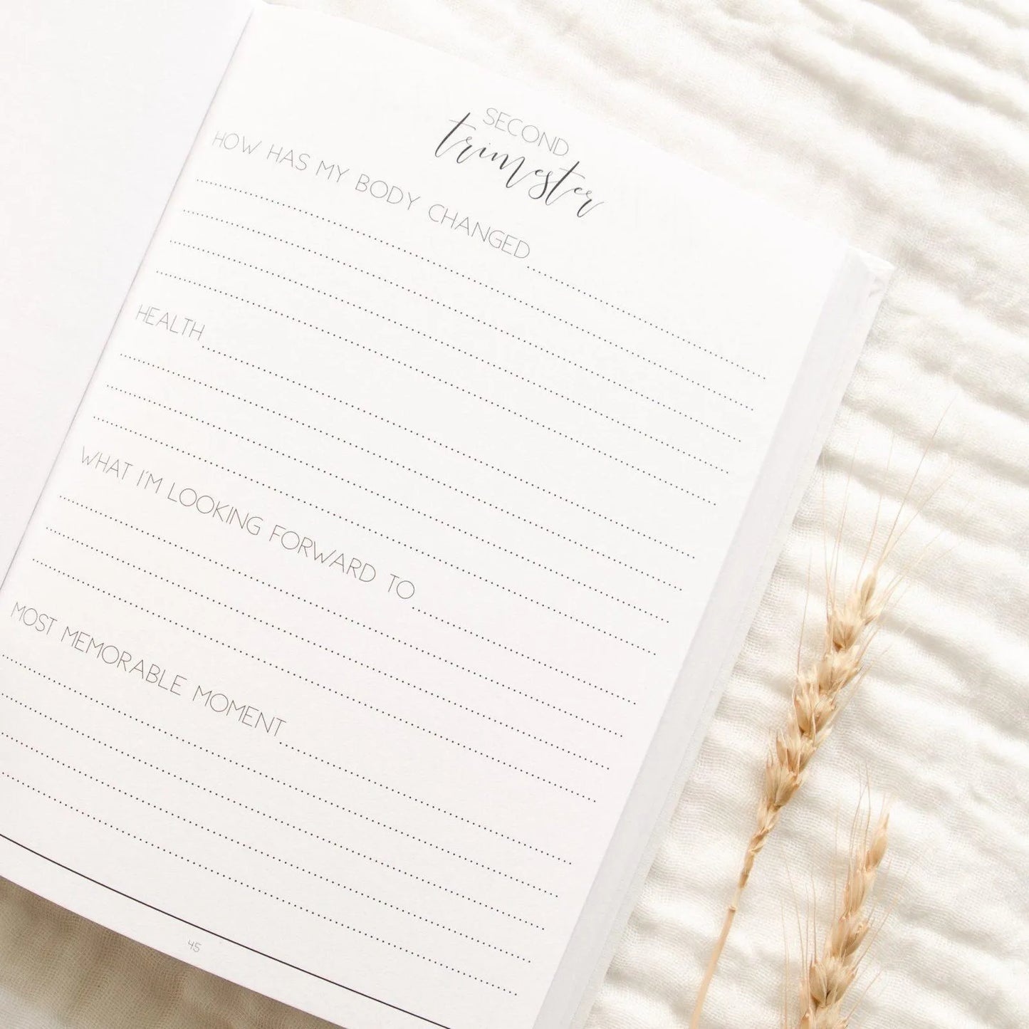 Hello Little Mama Pregnancy Journal